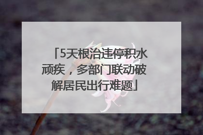 5天根治违停积水顽疾，多部门联动破解居民出行难题